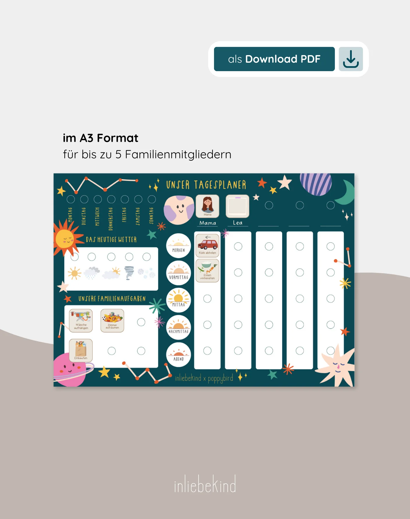 Vorschaubild 15
