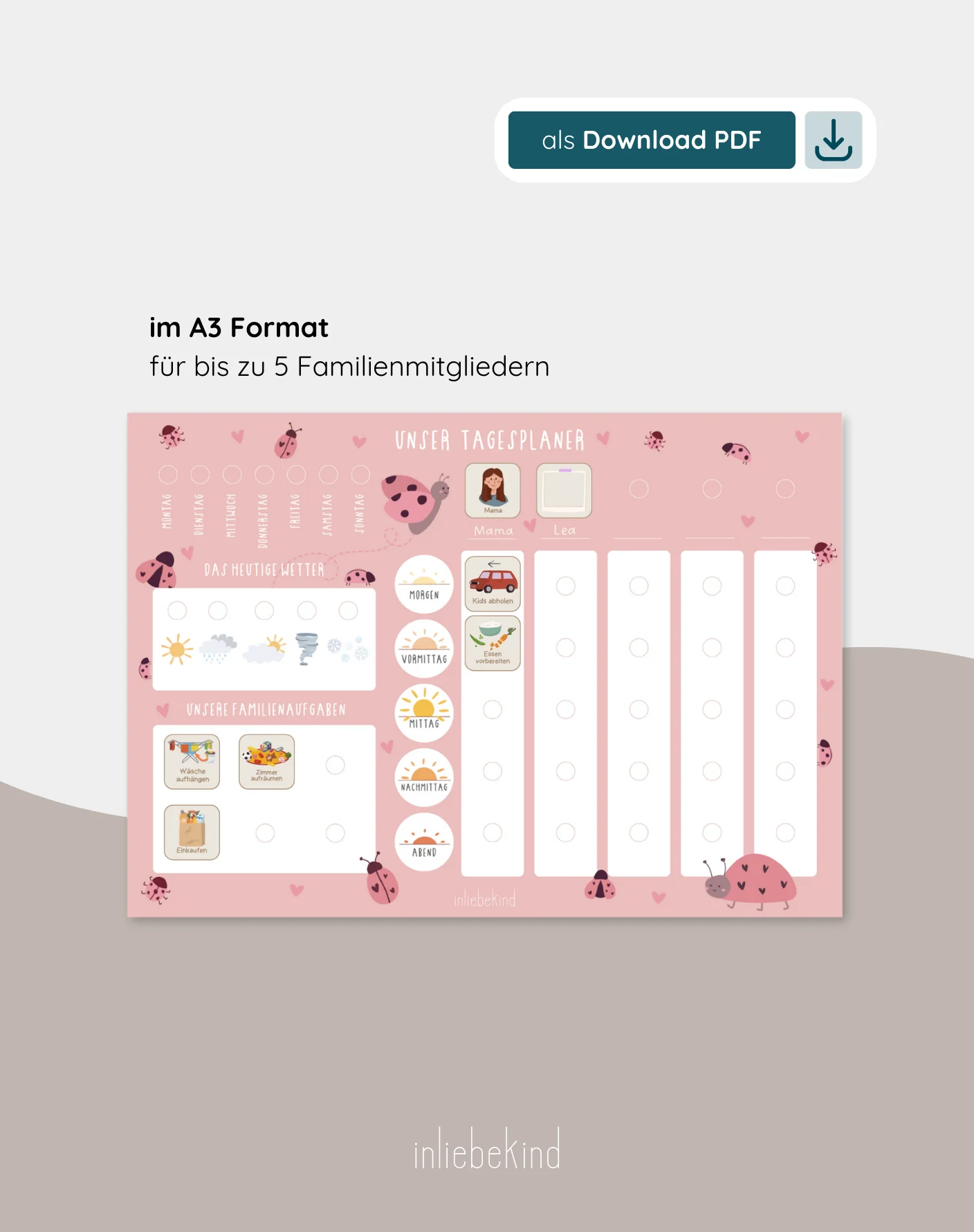 Vorschaubild 9