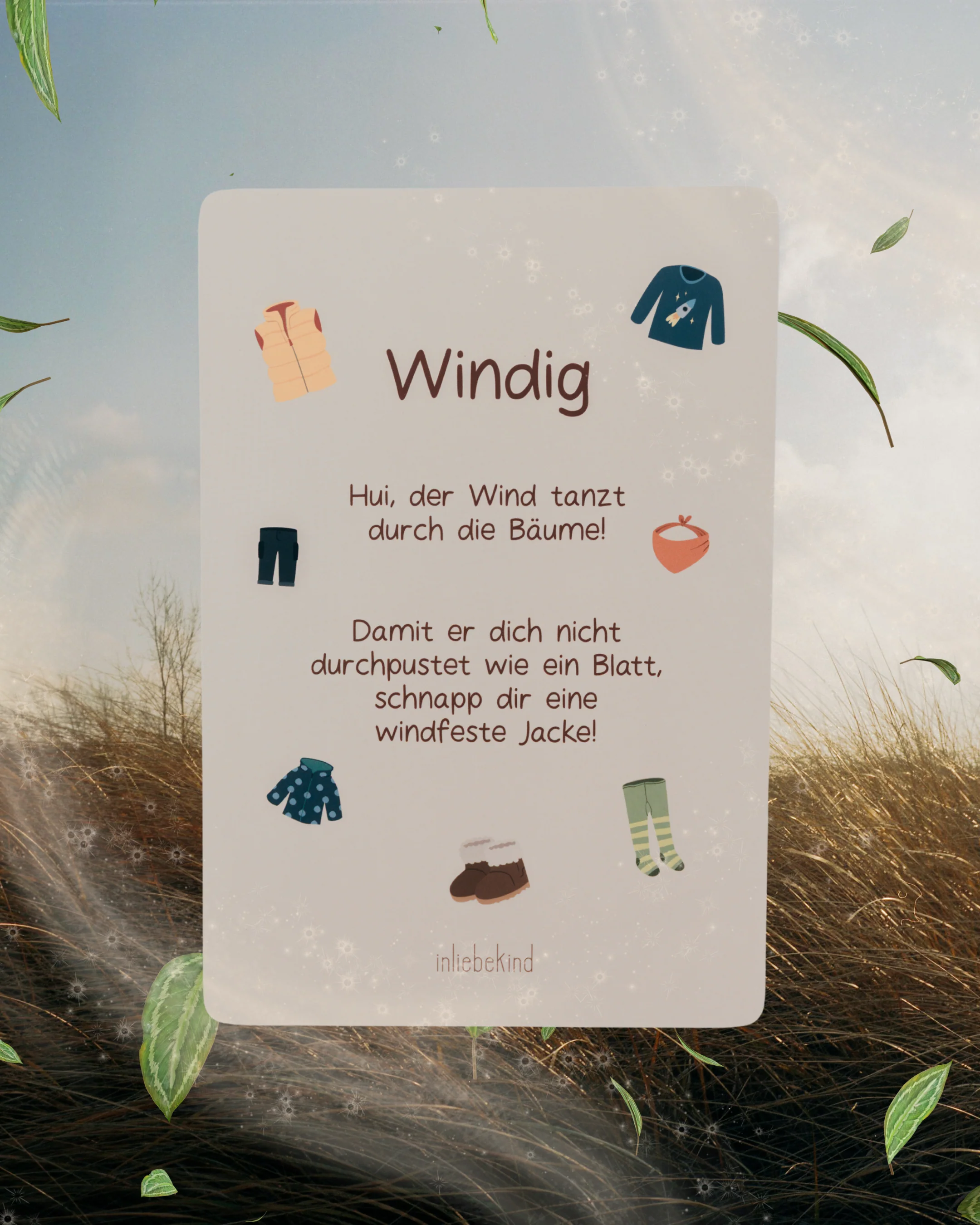 Vorschaubild 6